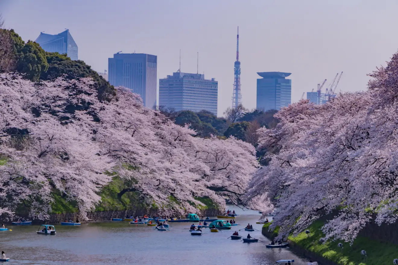 experience-energy-tradition-tokyo-img (1)